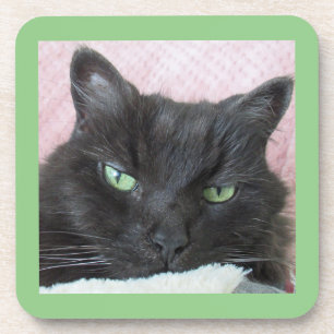 Green Mit Augen Black Cat Untersetzer