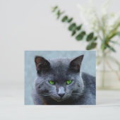 Green Mit Augen Cat Postcard Postkarte (Stehend Vorderseite)
