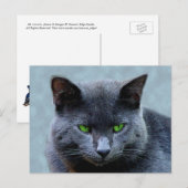 Green Mit Augen Cat Postcard Postkarte (Vorne/Hinten)