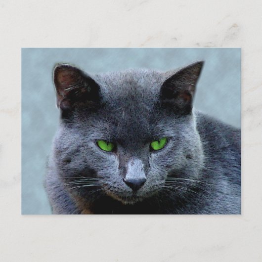 Green Mit Augen Cat Postcard Postkarte (Vorderseite)