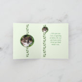 Green Mit Augen Chat Note Card Karte (Innenseite)