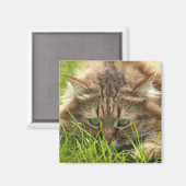 Green Mit Augen Hunter Magnet (Vorderseite/Rückseite)