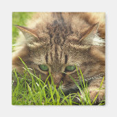 Green Mit Augen Hunter Magnet (Vorne)