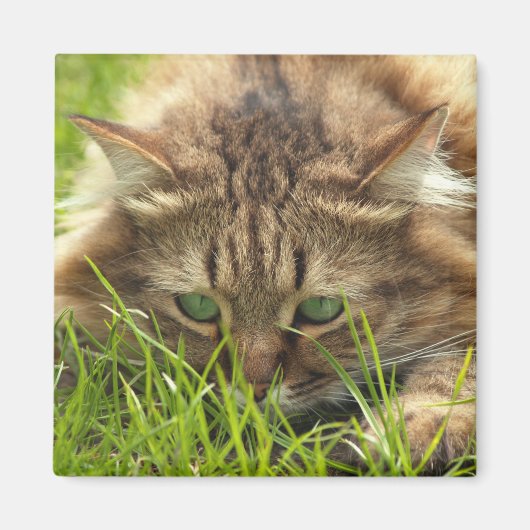 Green Mit Augen Hunter Magnet (Vorne)