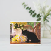 Green Mit Augen Kitten Stilllife Postkarte (Stehend Vorderseite)