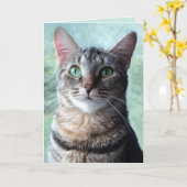 Green-Mit Augen Tabby-Blank-Grußkarte Karte (Gelbe Blume)