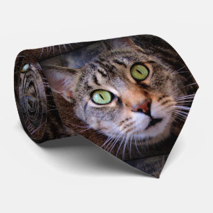 Green Mit Augen Tabby Cat Menswear Krawatte