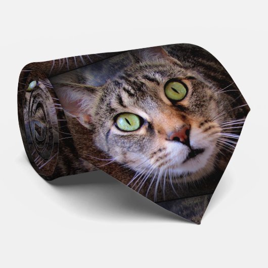 Green Mit Augen Tabby Cat Menswear Krawatte (Gerollt)