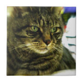 Green Mit Augen Tabby Face Fliese (Vorderseite)