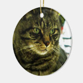 Green Mit Augen Tabby Face Keramikornament (Links)