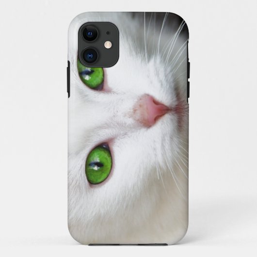 Green Mit Augen White Cat iPhone 5/5S Case (Rückseite)