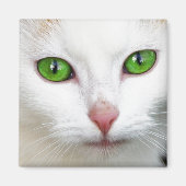 Green Mit Augen White Cat Magnet (Vorne)