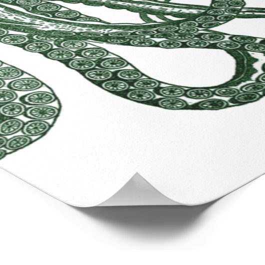 Green Modern Octopus Poster (Ecke)