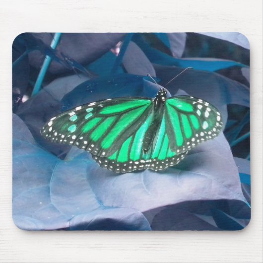Green Monarch Butterfly-Maus Mousepad (Vorne)