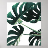Green Monstera Fotografy Poster (Vorne)