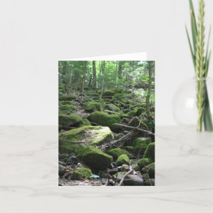 Green Moss Covered Trail Note Card Dankeskarte