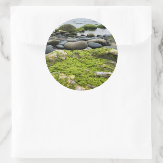 Green Moss Rocks Runder Aufkleber (Tasche)