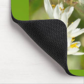 Green Moth on False Knolic Apparel and Gifts Mousepad (Ecke)