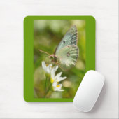 Green Moth on False Knolic Apparel and Gifts Mousepad (Mit Mouse)