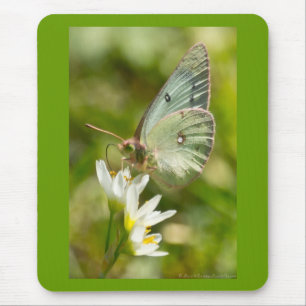 Green Moth on False Knolic Apparel and Gifts Mousepad