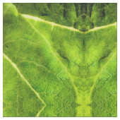 Green Mullein Stoff (Nahaufnahme)