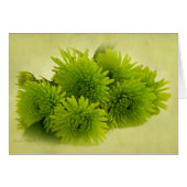Green Mums Card (Vorderseite (Horizontal))