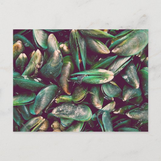 Green Mussels Postkarte (Vorderseite)