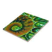 Green Nautilus Fliese (Seite)
