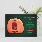 Green Niedlich Cat Orange Pumpkin Kitten Halloween Einladung (Stehend Vorderseite)