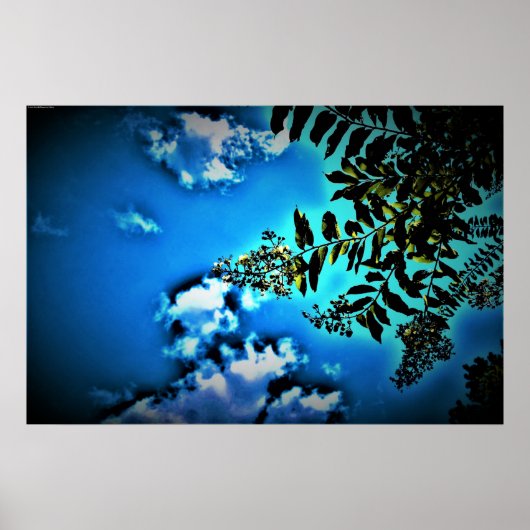 Green on Blue, Poster (Vorne)