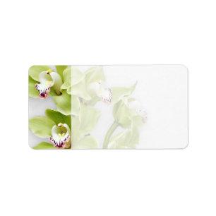 Green Orchid Blank Wedeladressen Labels Adressaufkleber