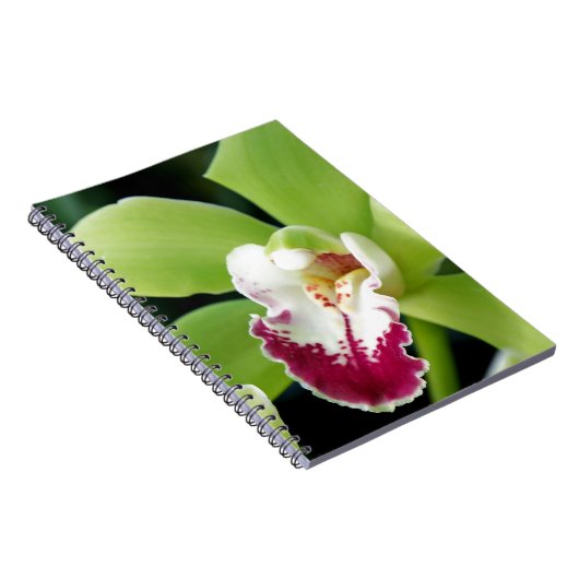 Green Orchid Notizblock (Rechte Seite)