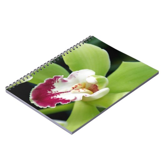 Green Orchid Notizblock (Linke Seite)