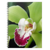 Green Orchid Notizblock (Vorderseite)