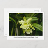 Green Orchids Collectious Postcard Postkarte (Vorne/Hinten)