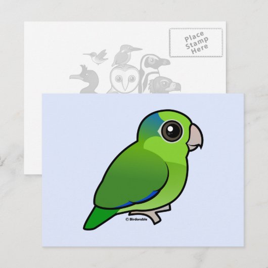 Green Pacific Parrotlet Postkarte (Vorne/Hinten)