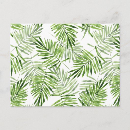 Green Palm Blätter Postkarte (Vorderseite)