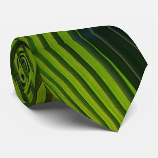 Green Palm Fronds Zigzag Streifen Krawatte (Gerollt)