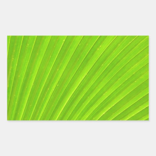 Green Palm Leaf Sticker (Vorderseite)