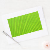 Green Palm Leaf Sticker (Umschlag)