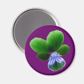Green Pansy Magnet (Vorderseite/Rückseite)