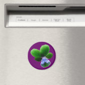 Green Pansy Magnet (In Situ (Geschirrspüler))