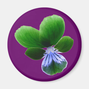Green Pansy Magnet