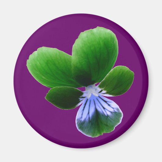 Green Pansy Magnet (Vorne)