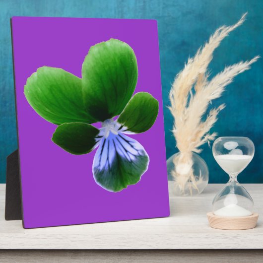 Green Pansy Plaque Fotoplatte (Seite)