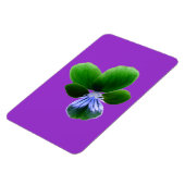 Green Pansy Premium Magnet (Linke Seite)