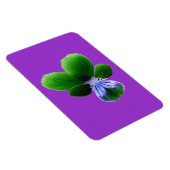 Green Pansy Premium Magnet (Rechte Seite)