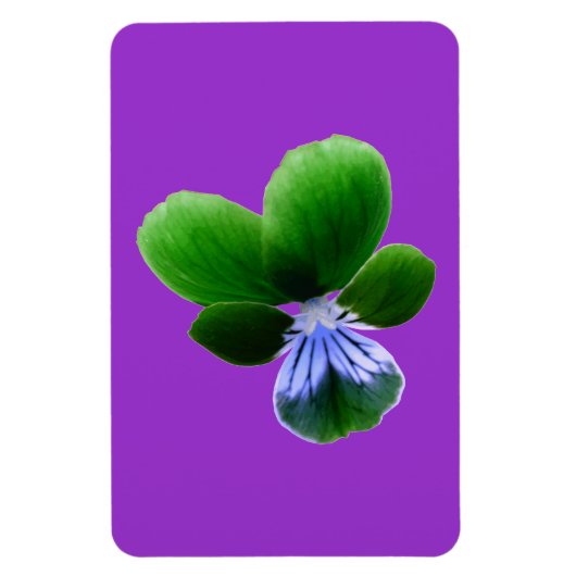 Green Pansy Premium Magnet (Vertikal)