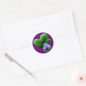 Green Pansy Sticker (Umschlag)