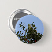 Green Parakeet Button (Vorne & Hinten)